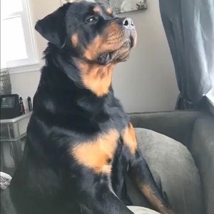 Meet your Posher, Eric